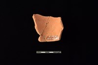 陶片藏品圖，第2張